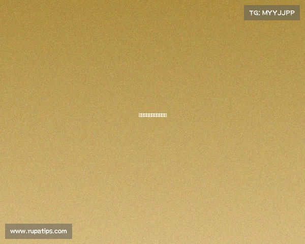 雯雯电子竞技—雯雯夺冠